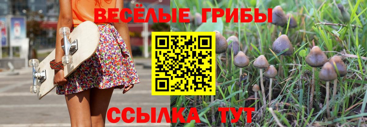 Псилоцибиновые грибы Psilocybe  Вход с VPN  Сертолово 