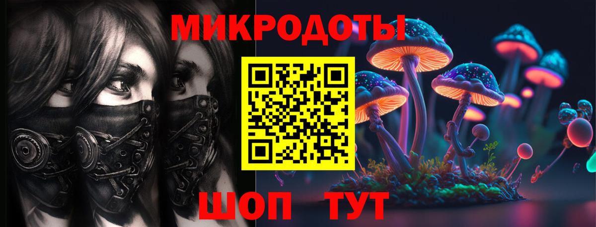Псилоцибиновые грибы мухоморы Сертолово